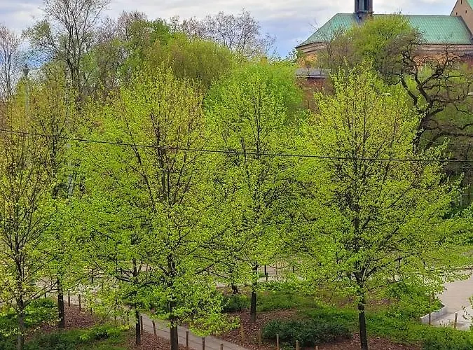 아파트 Wierzbowa 6 Z Klimatyzacja *